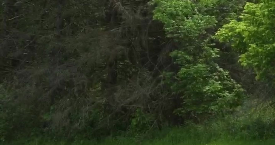 looking back on it - trailer